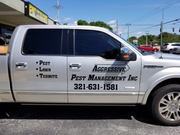Vehicle Lettering